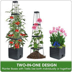 MQFORU Tomato Planter Boxes with Trellis Outdoor, 57" Self Watering Raised Garden Bed, Tall Square Planters for Indoor Plants, Large Tomato Cage for Patio, Use for Indoor Outdoor (4) - Image 4