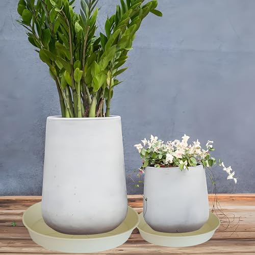 3 Pack of 25 26 inch Plant Saucer (22.7 Inch Base), 4.2" Depth, Large Deep Plastic Flower Planter Water Trays for Indoors Outdoor Bath Bath, Plant Drip Trays for Pot (26", Beige) - Image 5