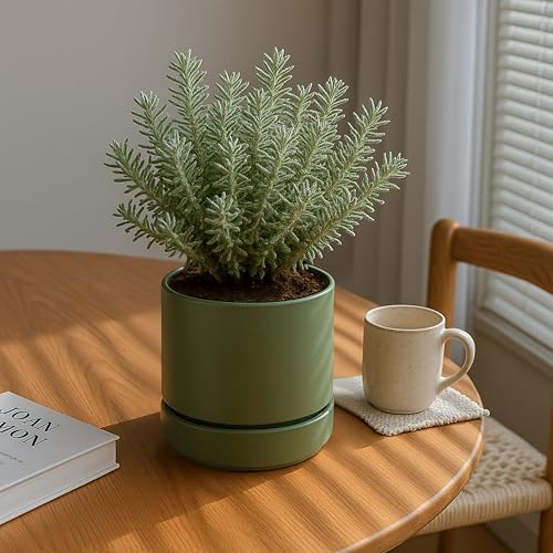 Phoenix Vine 6 Inch Planter Pot with Drainage Hole & Saucer, Deep Water Catch Tray, Straight Cylindrical Round Pot for Plants, Olive, Pack of 4, 23-D-S-4 - Image 2