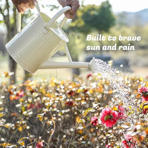 1 Gallon Watering Can for Plants, Watering Cans for Indoor&Outdoor Gardening, Galvanized Steel Watering Pot with Removable Spout, Metal Water Can with Ergonomic Movable Handle(White) - Image 2