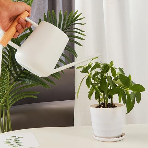 Watering Can for Indoor Plants, Small Watering Cans for House Plant Garden Flower,Watering Can 900ml Stainless Steel Long Spout Wooden Handle Elegant Flower Watering Pot (White) - Image 3