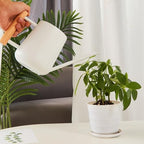 Watering Can for Indoor Plants, Small Watering Cans for House Plant Garden Flower,Watering Can 900ml Stainless Steel Long Spout Wooden Handle Elegant Flower Watering Pot (White) - Image 3