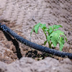 Atlantic Short Soaker Hose 15 FT x1/2" Garden Soaker Hose, Water Seeper Hoses for Foundation Watering, Garden Beds, Garden, Lawn and Plants-Solid Brass Connectors - Image 4