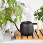 Can Indoor Plants Metal Stainless Steel with Long Spout for House Bonsai Garden Flower Decorative(D) - Image 3