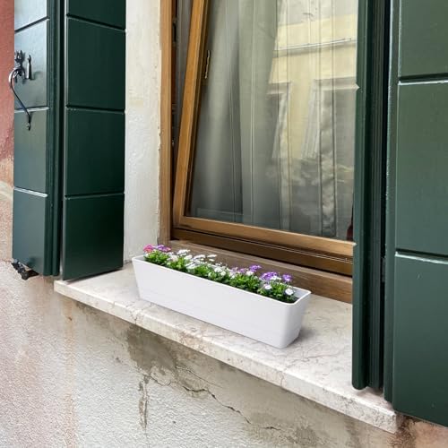 GREANER Long Window Boxes Planters, 6 Pack 16x3.8 Inch Vegetable Box Pot with Tray, Indoor Succulent Cactus Flowers Plastic Rectangle Pot for Balcony, Office, Garden, Outdoor, Windowsill - White - Image 4