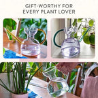 Modern Sprout Glass Watering Can -32oz -Long Spout Modern Decor (Pink/Gold) - Image 7