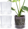 Phoenix Vine 6.5 Inch Clear Acrylic Planter Pot with Tray, Orchid Pot with Drainage Holes, Deep Saucer for Bottom Watering, Transparent Containers for Indoor Plants, Herbs, Set of 3, 91-A-F-3 by Phoenix+Vine