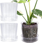 Phoenix Vine 6.5 Inch Clear Acrylic Planter Pot with Tray, Orchid Pot with Drainage Holes, Deep Saucer for Bottom Watering, Transparent Containers for Indoor Plants, Herbs, Set of 3, 91-A-F-3 by Phoenix+Vine