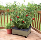 Emsco Group 2342-1HD City Picker Self Watering and Improved Aeration – Mobile Unit with Casters-Sand Raised Bed Grow Box - Image 3