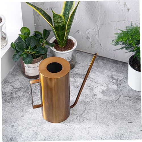 Stainless Steel Watering Can Large Capacity for Garden Plants - Image 3