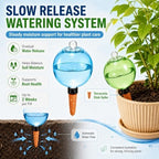 Large Self Watering Globes 750ml/25oz Pots Terracotta Bulbs Water Automatic - Image 3