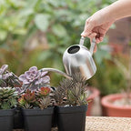 Naysku Stainless Steel Watering Pot, Watering Can for Indoor House Plants Long Spout Brushed Stainless Steel Watering Pot, Small Purling Can Indoor Watering Flower Kettle,500ml - Image 4