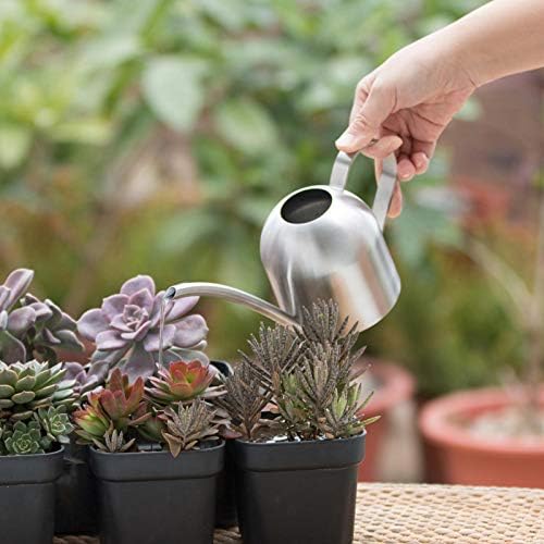 Naysku Stainless Steel Watering Pot, Watering Can for Indoor House Plants Long Spout Brushed Stainless Steel Watering Pot, Small Purling Can Indoor Watering Flower Kettle,500ml - Image 4