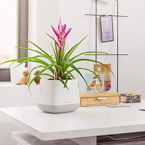 Lechuza 13862 Yula Self-Watering Garden Planter for Indoor and Outdoor Use, White/Gray - Image 2