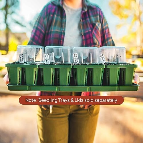 Vego garden Bottom Watering Trays Plant Growing Trays for Seedlings, 10" x 20" Seedling Trays, 2 Pack - Image 4