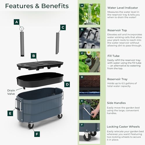Permasteel Self-Watering Garden Bed, Rolling Planter for Vegetables, Flowers, Herbs, and Fruit, Outdoor Indoor, Caster Wheels, Blue - Image 7