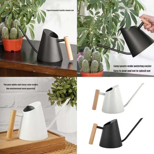 Indoor Watering Can for House Plant Stainless Steel Watering Can Metal with Long Spout Indoor Plant Pots Long Spout - Image 2