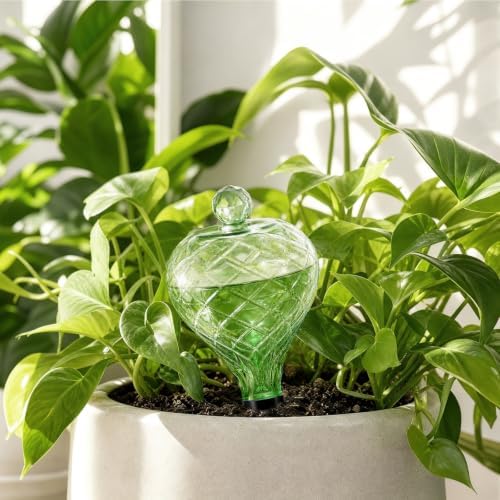 4 Pack 17 oz Large Plant Self Watering Globes to 2 Weeks Watering, Green - Image 6