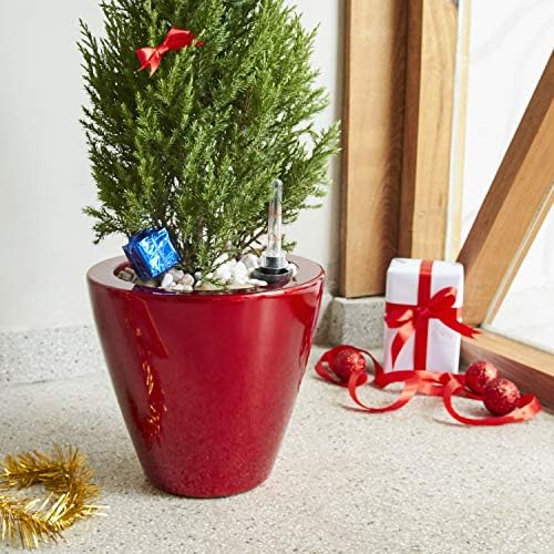 Planters, 10.2 Inch Round Self-Watering Pots, 2-Pack, Red by Noeko