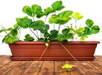 4 Pcs 31 inch Window Box Planter, Large Rectangular Plastic Flower Pot with Tray, Suitable for Indoor & Outdoor Gardens, Balcony and Home Decor (4) - Image 4
