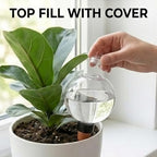 6Pcs Plant Self Watering Globes, 16.9oz Insert Top Fill to 2 Weeks Watering - Image 6