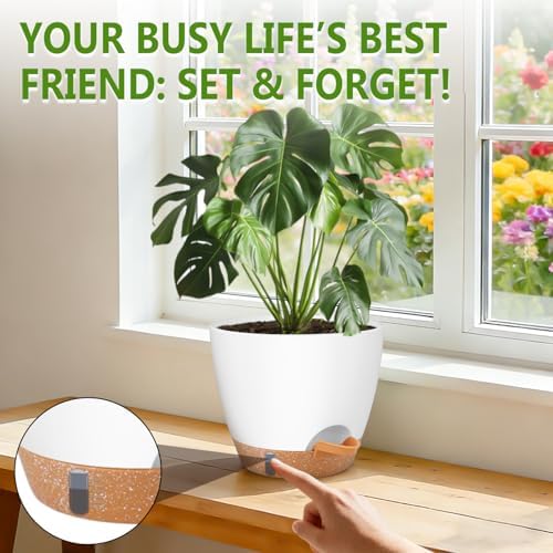 QRRICA 8/7/6.5/6/5.5/5 Inch Self Watering Pots for Indoor & Outdoor Plants - Image 5