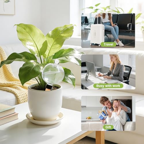 ZephyrBloom 19 Oz Large Self Watering Plant Watering Globes, Water Globes & Watering Bulbs for Indoor Outdoor Plants, Plant Water Feeders for All Plants While Away and Vacation Watering 4-Pack - Image 6