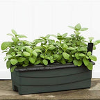 EarthBox 80601.01 Junior Garden Kit, Standard, Green - Image 2