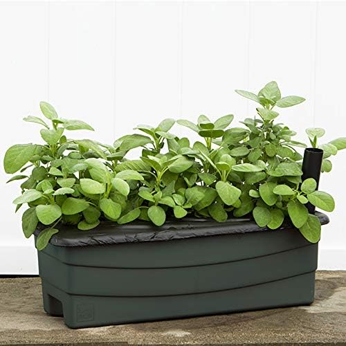 Novelty 80651 Earthbox Junior Organic Garden Kit, Green - Image 2