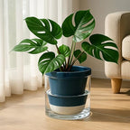 D'vine Dev Self-Watering Blue Terracotta Planter Pot, 10 in, 37-X-D-4 - Image 3
