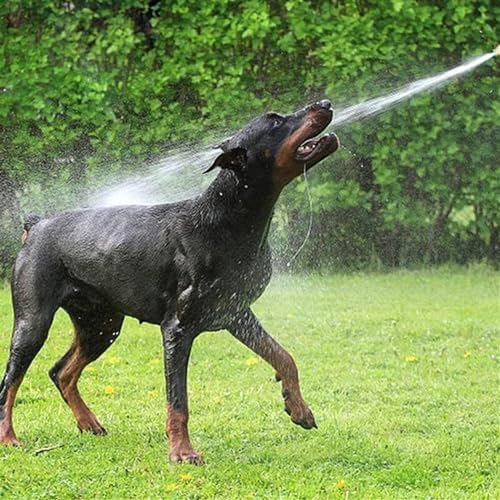 Pressure Washer Water Gun Garden Hose Nozzle Spray for Water Foam Pot Car Washing Sprinkler Cleaning Tool - Image 4