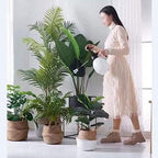 Houseplant Watering Can 2l/0.5 Gallon Capacity Hand-held Spin Spray Pot Portable Mist Nozzle Watering Can Sprayer Bottle Water Gardening Tools, White - Image 6