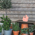 Garneck Rabbit Watering can for Kids 1.2L Plastic Garden Water Sprinkler Cute Bunny Shape Small Indoor Outdoor Plant Pot for Children - Image 5