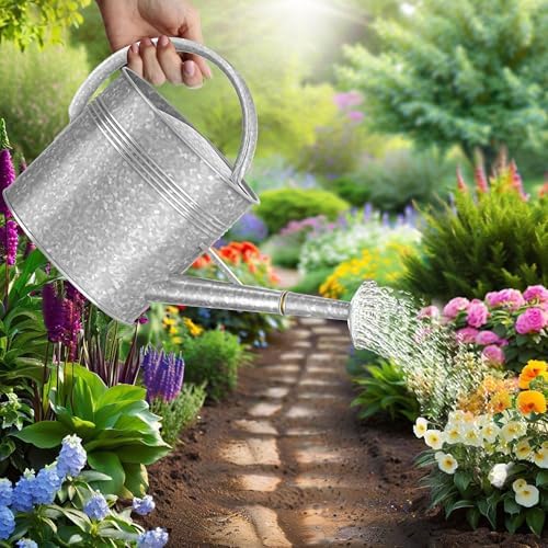 Galvanized Watering Can for Outdoor Indoor Plants, 2.5 Gallon Ellipse Decorative Countryside Style Water Can with Removable Spout, Metal Watering Can for Indoor Plants and Garden Flower - Image 6
