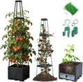 Lancisism 2 Pack Raised Garden Bed Tomato Planter with Trellis - 57" Self Watering Planter Box for Climbing Plants Vegetables Flowers - Garden Tomato Pots with Cage for Patio Greenhouse Indoor Outdoor by Lancisism