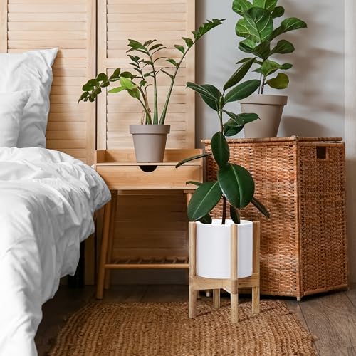 D'vine Dev Plastic Pot with Natural Wood Stand, White, 8 in, 55-C-J-1 - Image 4