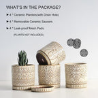 Gepege Ceramic Succulent Pots, 4 Inch Small Plant Pots with Drainage - Image 3
