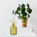Watering Bottlemister Glass Can Spray Vintage Pump Spritzer Small Decorativeantique Pot Transparent Water Flower Misting(D) - Image 3