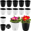 Planterhoma 5 Inch Self Watering Pots for Indoor Plants, 12 Packs Self Watering Planters for Orchid, Spider Plant, Devil's Ivy & African Violet, Water Indicator & Black Wick Pots, White/Black by Planterhoma