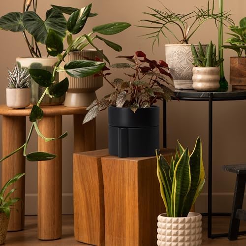 Phoenix Vine 8 Inch Self-Watering Planter Pot with Terracotta Insert, Deep Water Reservoir, and Ceramic-Alike BPA-Free Plastic Planter Pot for Plant, Modern Planter for Houseplants, Black, 53-A-T-2 - Image 7