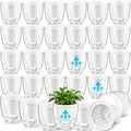 Self Watering Plant Pots, 3.5'', Transparent White, 36 Pcs by Ferrochef
