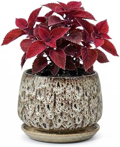 7.5 Inch Ceramic Planter with Saucer,Modern Garden Pots with Drainage Hole Mesh Net, for Indoor Outdoor Use(Speckle White) by Unknown