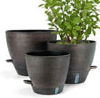 ZMTECH 12/10/8 In Self Watering Pots for Indoor/Outdoor Plants,3 Pack Bronze Large Plastic Planter with Water Level Indicator, Drainage Hole & Removable Saucer for Garden Flowers, Deco Plant Container by HighQualityGardeningTools