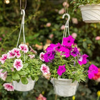Baderke 12 Pcs Hanging Plant Water Catcher Tray,6 8 10 12 Inch - Image 6