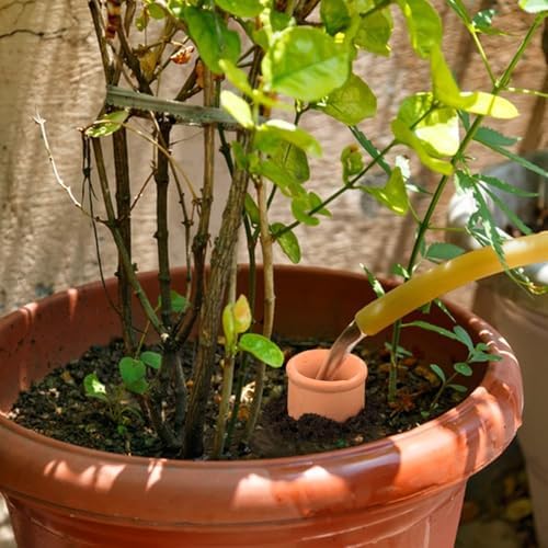 2pcs 10 * 5 * 5in Ollas Plant Watering Globes 61oz Terracotta Watering Pot Watering Bulbs for Outdoor and Indoor Plants Large Reservoir Bulbs with lid Terra Cotta Clay Irrigation Globes - Image 5