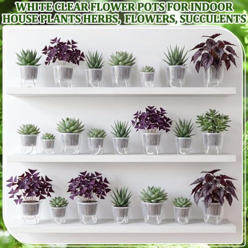 Self Watering Plant Pots, 3.5''/4.3''/5.1'', Transparent, 36 Pcs - Image 6