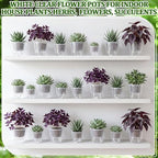 Self Watering Plant Pots, 3.5''/4.3''/5.1'', Transparent, 24 Pcs - Image 6