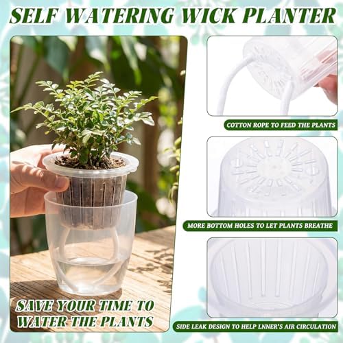 Self Watering Plant Pots, 3.5'', Transparent, 36 Pcs - Image 3