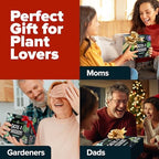 HOME GROWN Succulent & Cactus Seed Starter Kit, DIY Gardening Gift - Image 4
