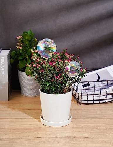 Tomorotec Glass Plant Watering Globes, Self Watering Spikes 3 Large+3 Small - Image 2
